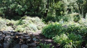 jardin-alpin