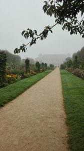 Allée_Jardin des Plantes