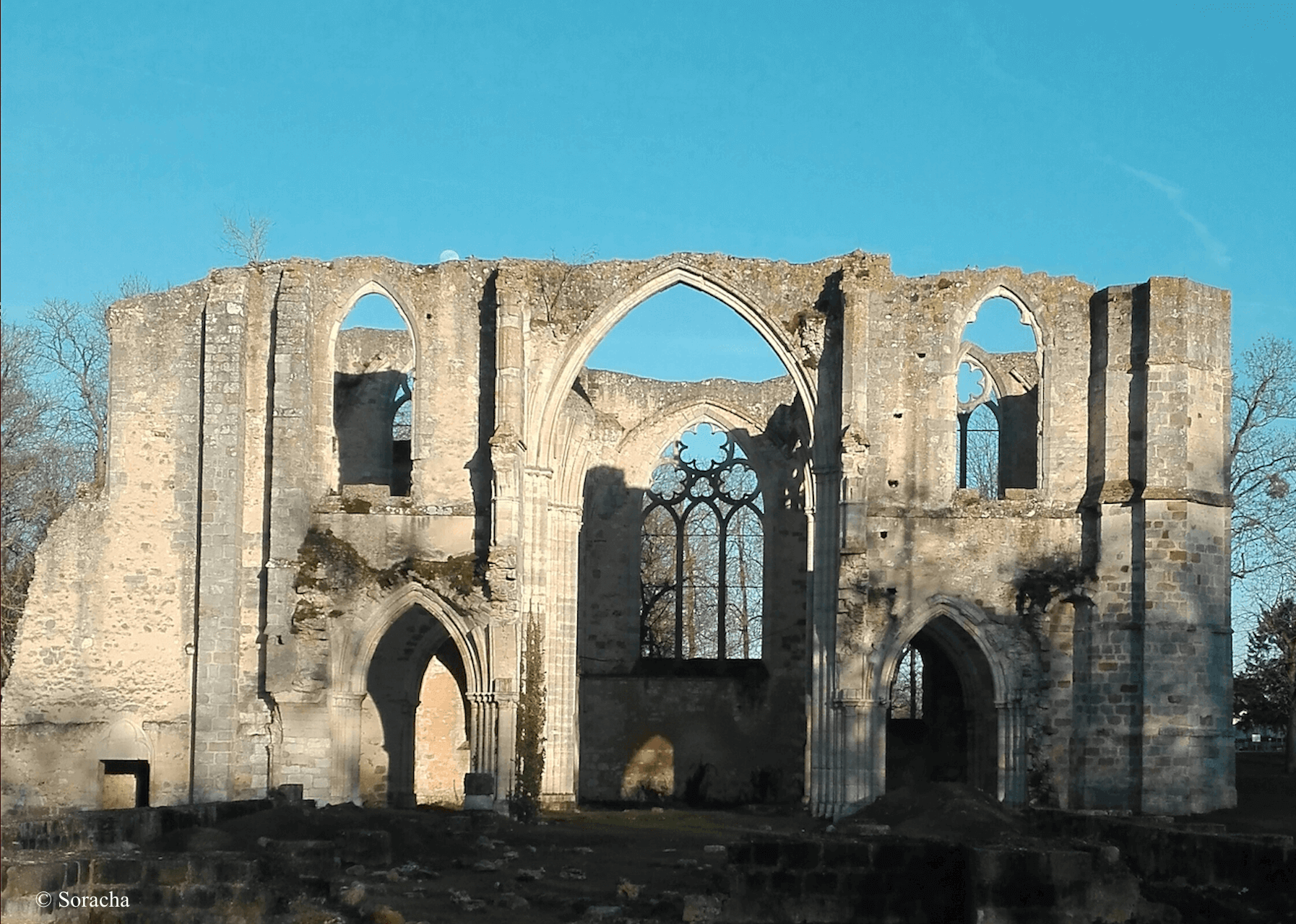 Abbaye du Lys