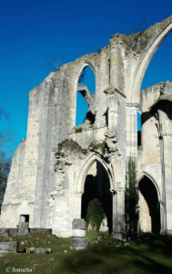 Ruines de l'abbaye du Lys